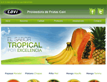 Tablet Screenshot of frutascavi.com